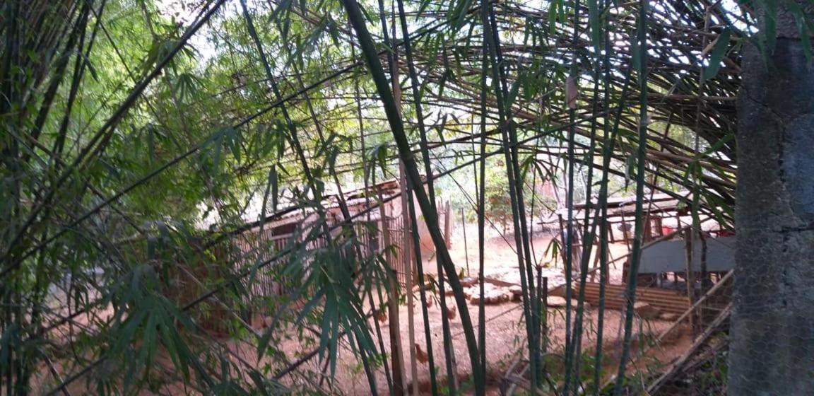 Pousada Sirius São Roque de Minas 外观 照片