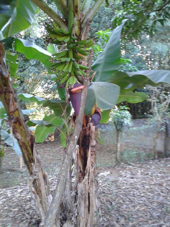 Pousada Sirius São Roque de Minas 外观 照片